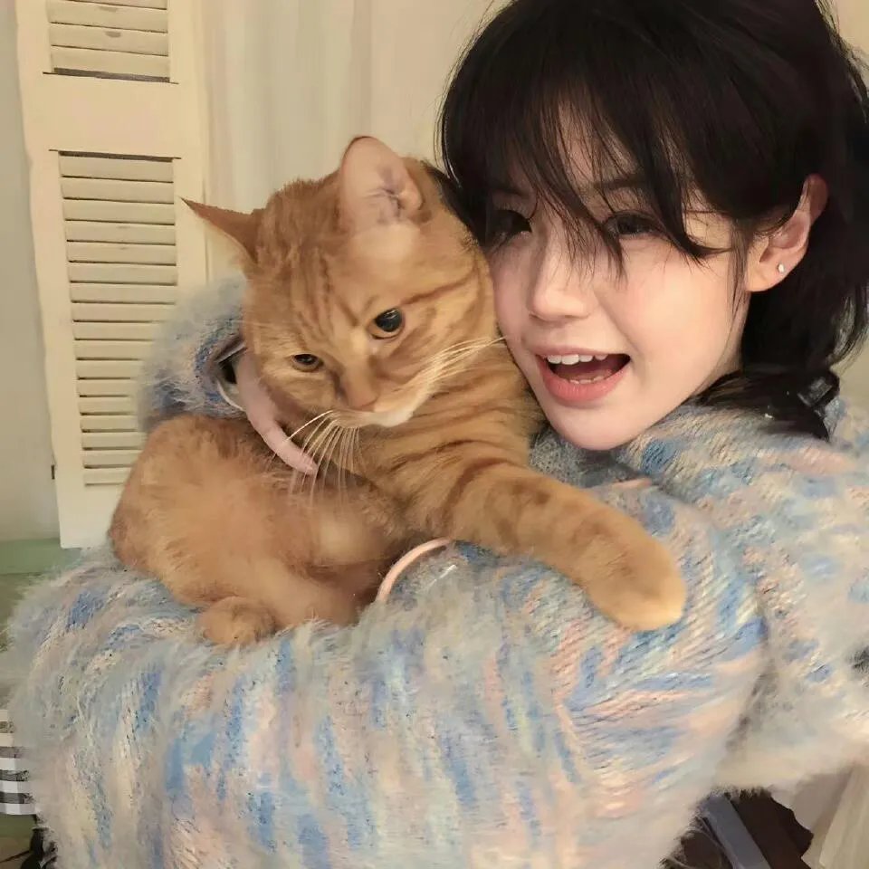 阿拉斯加大淘金第八季